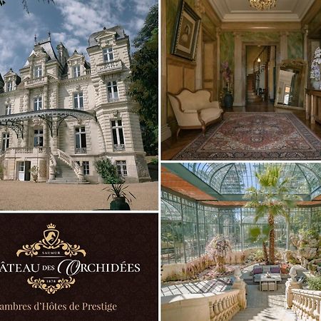 Chateau Des Orchidees En Val De Loire Saumur Bagian luar foto