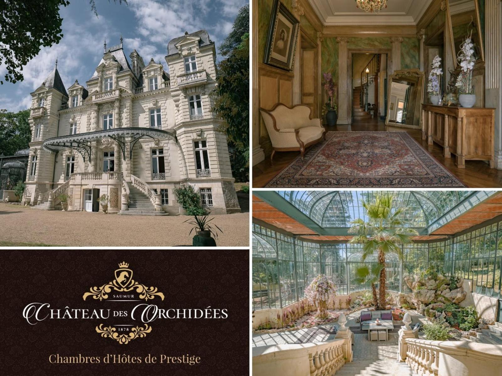 Chateau Des Orchidees En Val De Loire Saumur Bagian luar foto